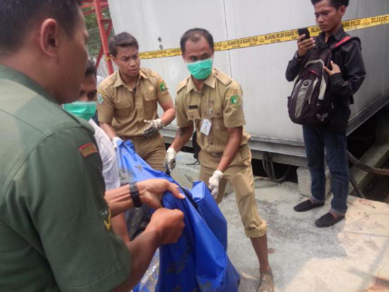 Mayat Tanpa Identitas Ditemukan di Lokasi Tower Indosat