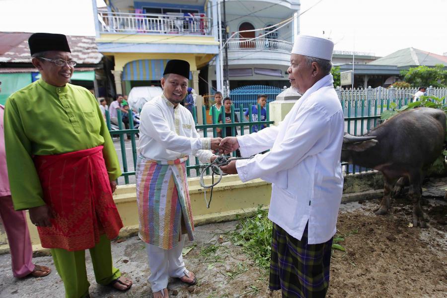 Pemkab Meranti Salurkan 640 Ekor Sapi