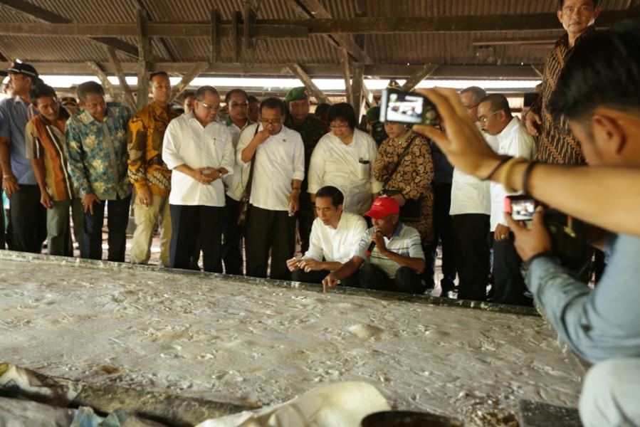 Pembangunan Jembatan dan Turap, Bupati Meranti Diminta Ajukan Proposal 