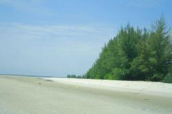 Arya Wedakarna: Pantai di Riau Lebih Indah dari Bali