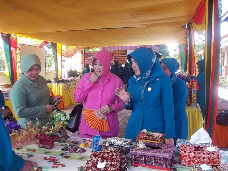 Romaini : PKK Berperan Langsung Ke Masyarakat