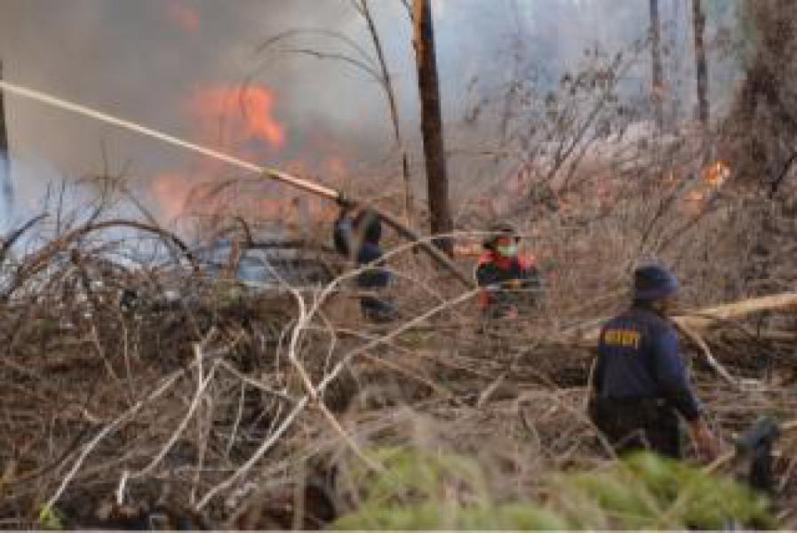 2 Hektar Kebun Karet Didesa Teluk Latak Terbakar, Hingga Kini Belum Berhasil Dipadamkan 