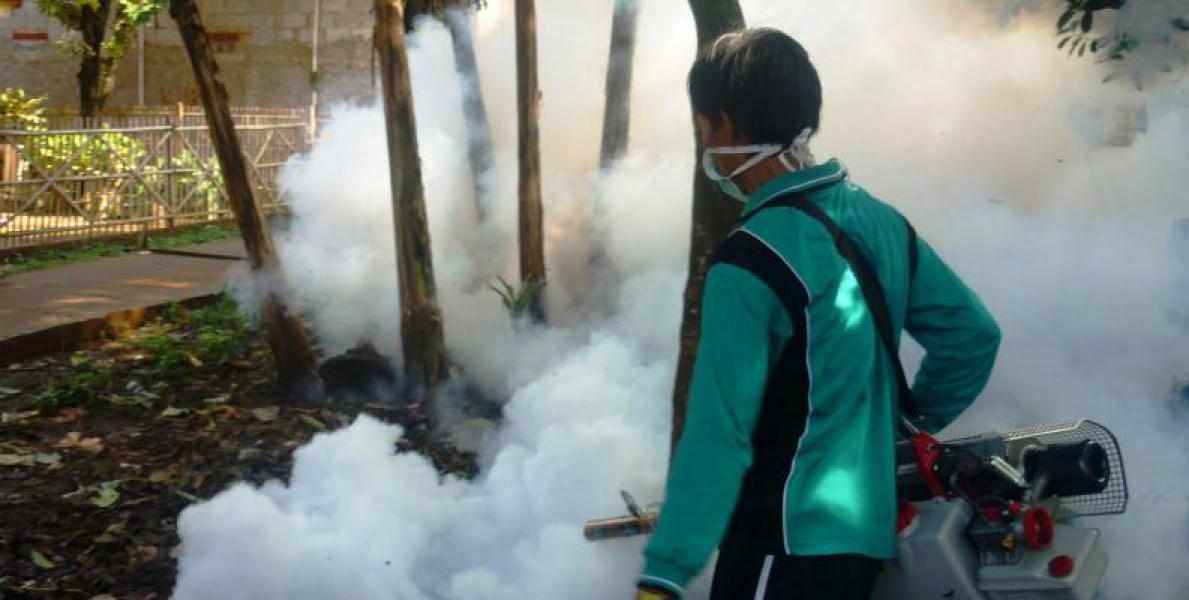 Basmi DBD, Diskes Dumai akan Turun Tabur Bubuk Abate