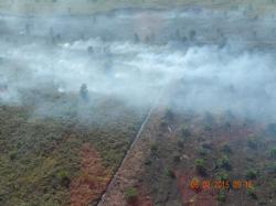 Buruk Bakul Belum Padam, Muncul Karhutla di Desa Damai, Kapolres: Kita panggil pemilik lahan 