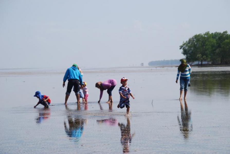 Menikmati Indahnya Pantai Parit Tengah Teluk Lancar Sambil �Mengutip� Kerang