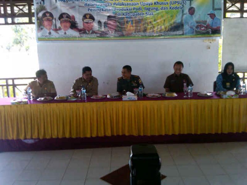 Dandim 0303/Bengkalis, Riau, Pro Aktif Dorong Program Ketahanan Pangan Nasional 