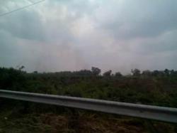 Rokan Hilir Mulai Terjadi Karhutla di Tanah Putih