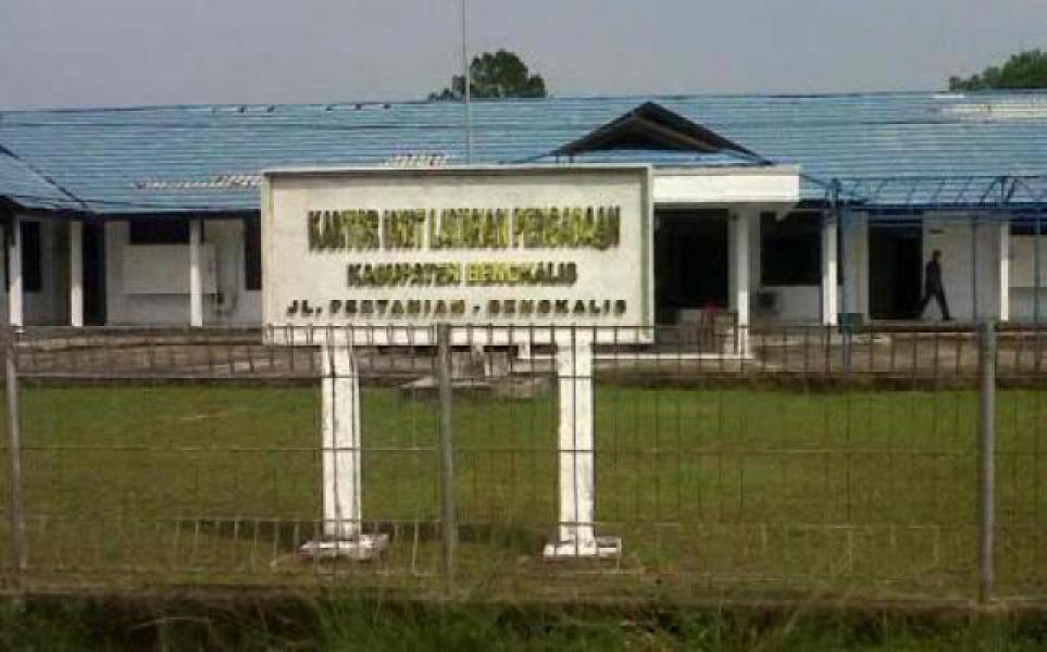Sefnur Jabat Ketua ULP Bengkalis 2015 