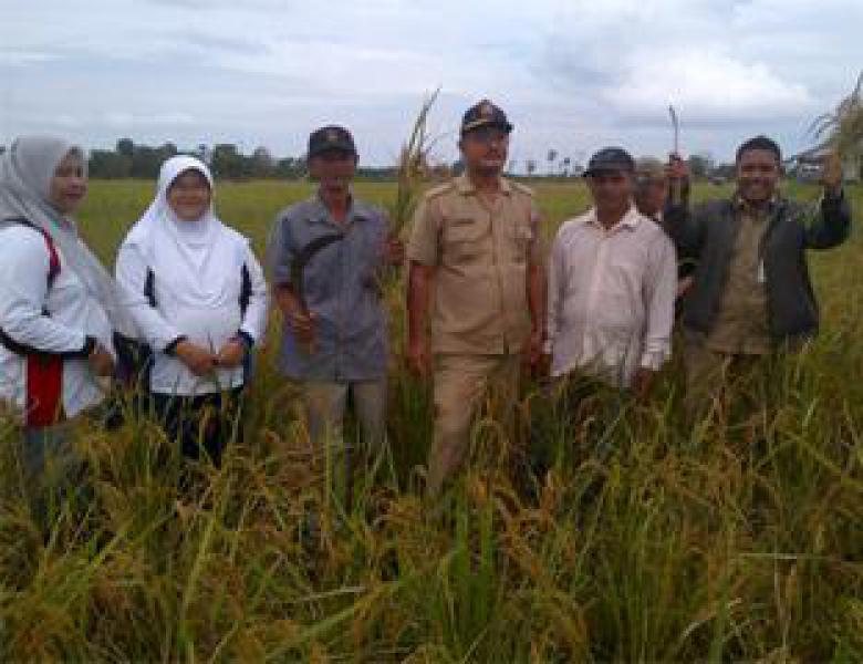 100 Hektar Lahan Produktif Di Dusun Sungai Bungkuk  