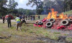 6.342 Karung Bawang Ilegal Dimusnahkan Bea Cukai Dumai
