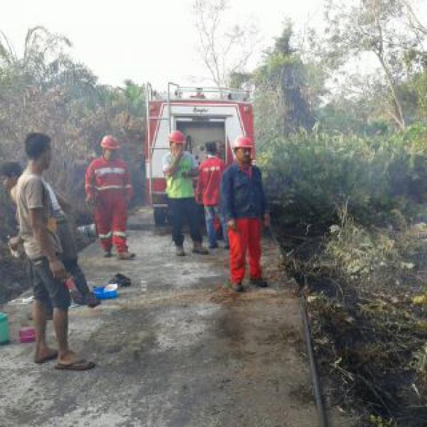 Di Kampung Jawa, Puluhan Hektar Lahan Terbakar Lagi