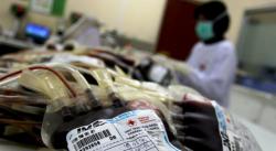 PMI Dumai Bentuk Perhimpunan Donor Darah untuk Perusahaan