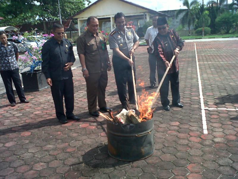 3000 Gram Ganja Kering Di Musnahkan Di Mapolres Bengkalis 