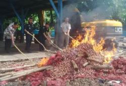 4945 Karung Bawang Merah Ilegal Di Musnahkan  