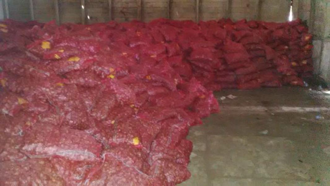BC Bengkalis Sita 40 Ton Bawang Merah Ilegal Di Bukit Batu 