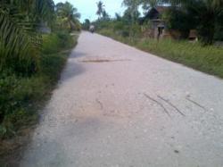 Rusak Parah, Masyarakat Minta Jalan Poros Desa Tanjung Datuk - Liang Banir Diperbaiki