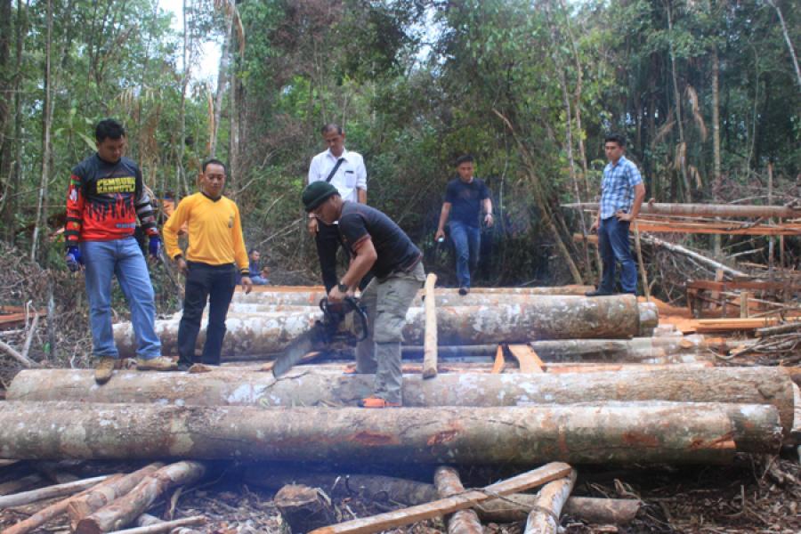 Di Bengkalis, Aksi Perambahan Hutan Marak Di Desa Pematang Duku Timur