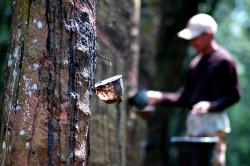 Hmzz, Dana Talangan Untuk Petani Kok Senyap Saja  
