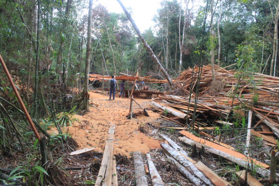 Perambahan Hutan Marak, Polres Bengkalis Janji Terus Tingkatkan Pengawasan