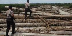 Pol Air Gagalkan Penyelundupan Dua Ton Kayu Ilegal Di Perairan Desa Ketam Putih