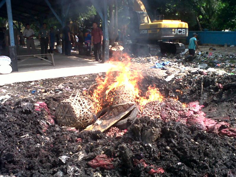 Polres Bengkalis Musnahkan 130 Karung Bawang Merah Ilegal 