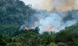 Panas Terik, Bengkalis Kembali Diancam Karhutla