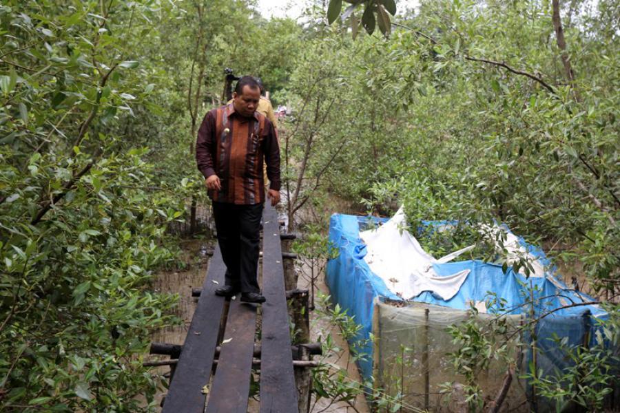 Rangsang Barat Punya Galeri Mangrove