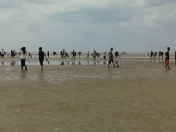 Pantai Selat Baru Dipenuhi Pengunjung 