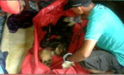 Setengah Bulan Menghilang, Ayin Akhirnya Ditemukan Sudah Menjadi Tengkorak 