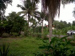 Alhamdulillah, Pagi Ini Kabupaten Bengkalis Cerah Tanpa Kabut Asap 