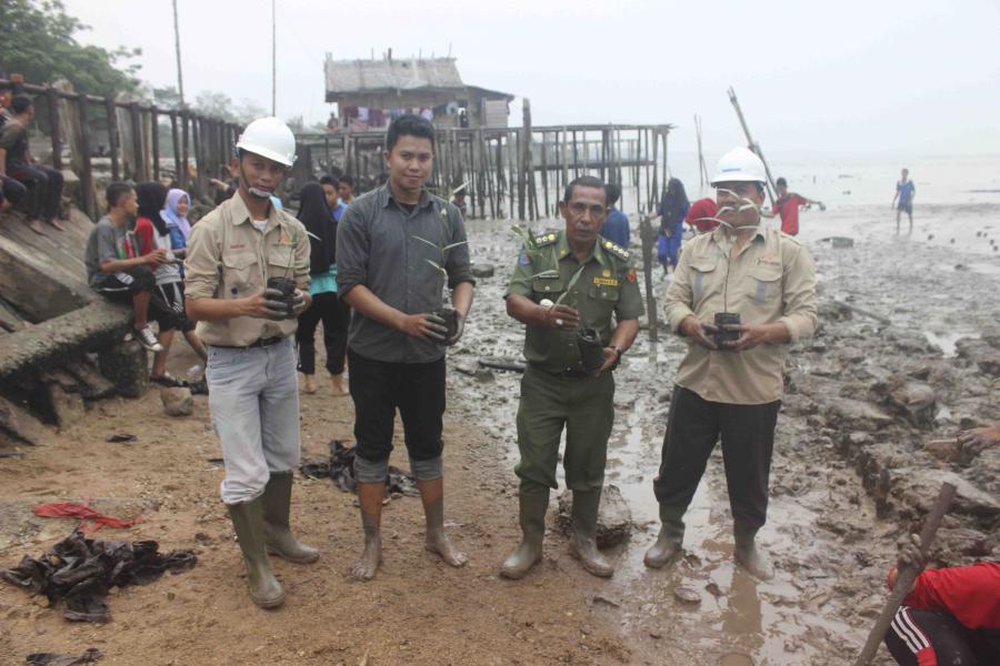 Antisipasi Dampak Abrasi di Merbau, IPK2M Lakukan Penanaman Mangrove 
