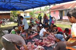 Idul Adha, ASN Pemkab Bengkalis Kurban 88 Ekor Sapi dan 7 Ekor Kambing 