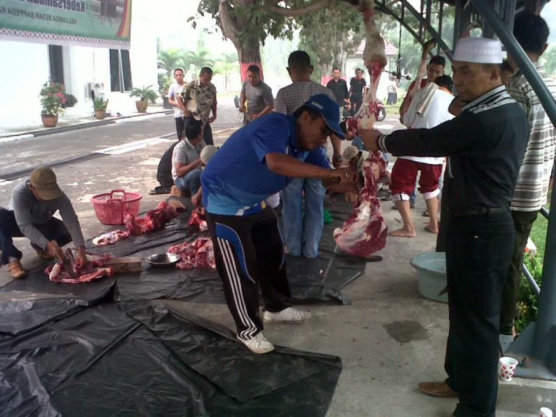 Idul Adha, Bappeda Bengkalis Kurban 8 Ekor Sapi 1 Ekor Kambing 