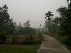 Kabut Asap Bengkalis Pekat, Masyarakat Harap Pemkab Bagikan Masker 