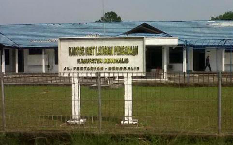 Lelang Proyek Roro Selari, Panitia Lelang ULP Tidak Transparan 