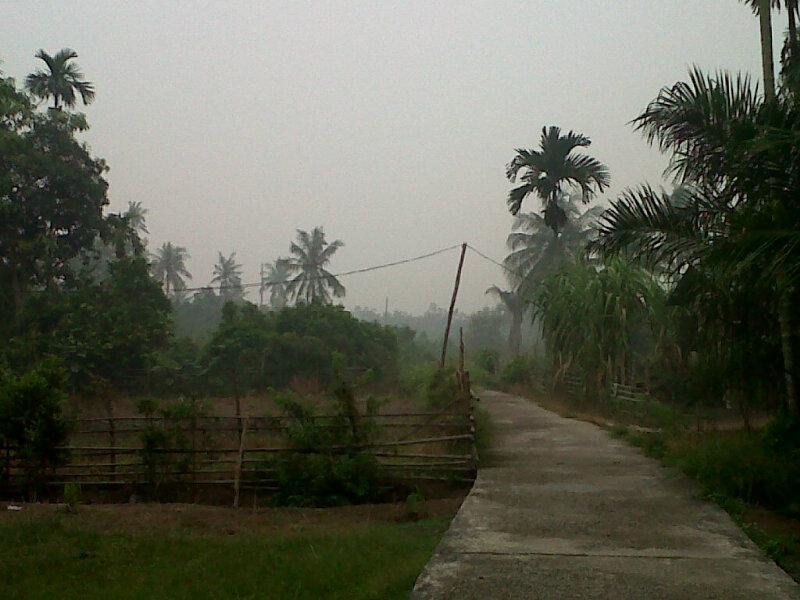 Pagi Ini, Bengkalis Kembali Diselimuti Kabut Asap