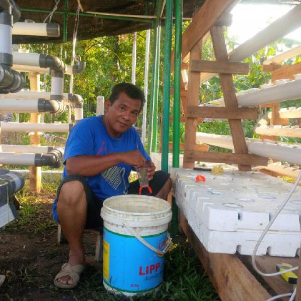 Pengembangan Hidroponik Di Desa Sungai Alam Mati Suri