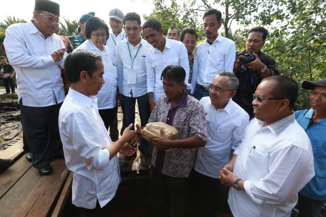 Abdul Manan Raih Penghargaan Kalpataru 