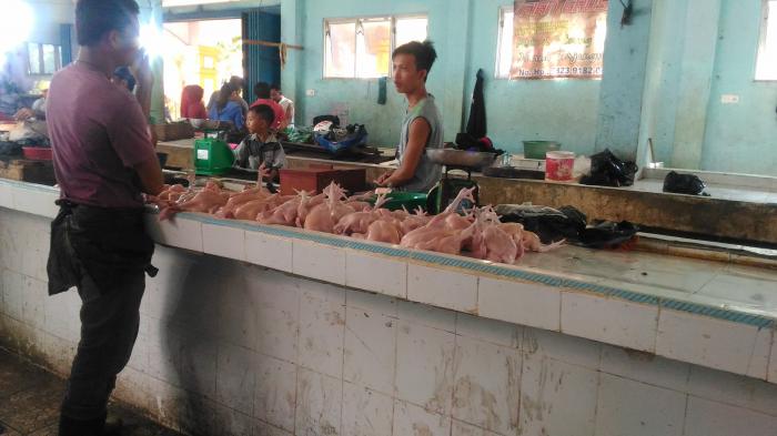  Harga Ayam Potong Di Bengkalis Rp 50 Ribu perkilo