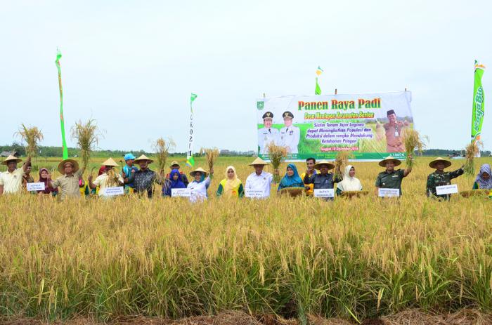 Setiap Tahun, Kebutuhan Beras Kabupaten Bengkalis 56.031 Ton