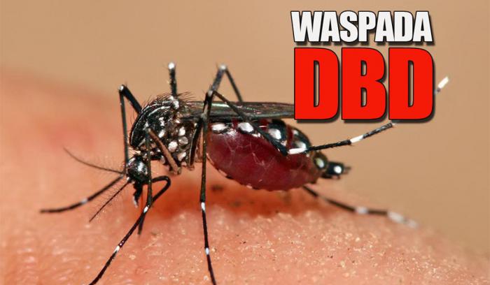 Dinkes Bengkalis: Musim Penghujan Waspadai Demam Berdarah