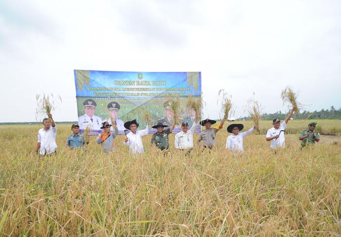 Danrem dan Wabup Said Hasyim Panen Raya Padi di Desa Topang