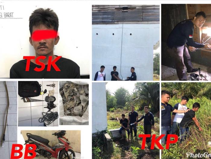 Diduga Bobol Rumah Walet, Seorang Pria di Meranti Ditangkap Polisi, 1 Temannya Kabur
