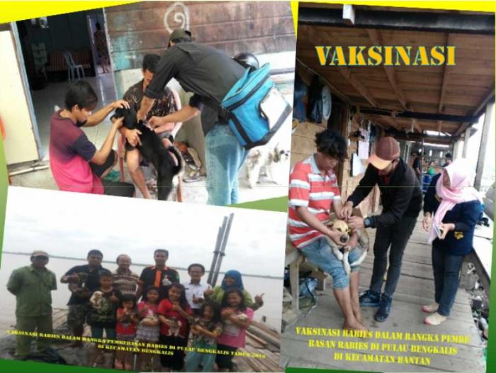 Pemkab Bengkalis Targetkan Bebas Rabies