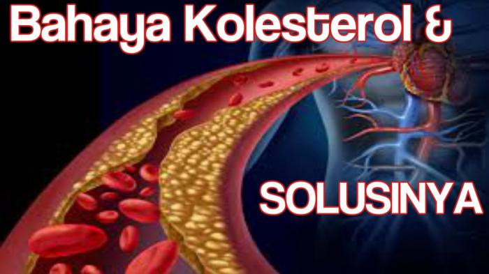 Waspada Bahaya Kolestrol Jika Tidak Diobati