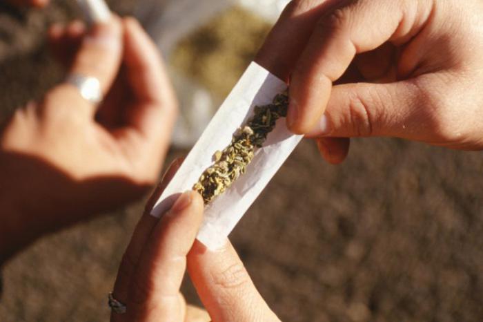 Jajakan Daun Ganja, Kakek 63 Tahun di pekanbaru Dibekuk Polisi