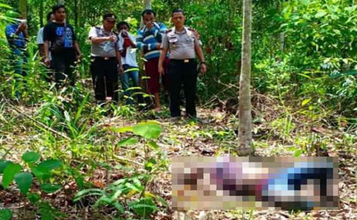 Lagi, Sesosok Jasad Ditemukan di Pelalawan