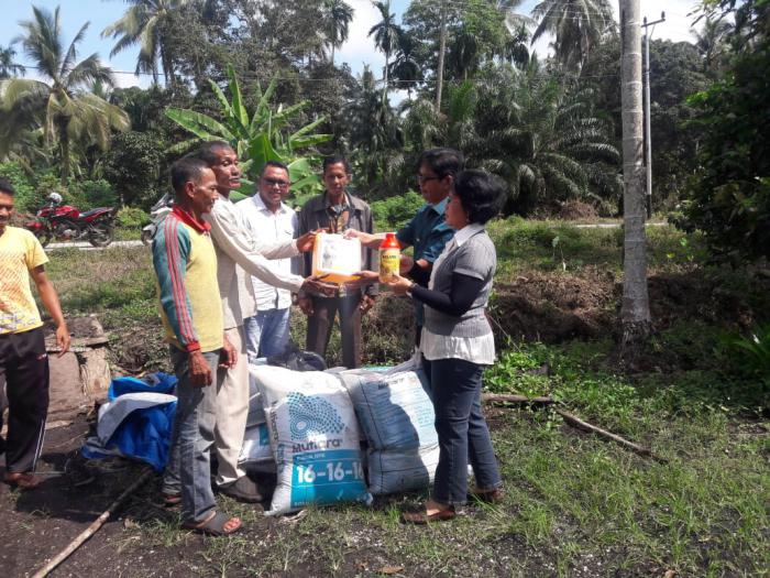 Dinas Perkebunan Meranti Salurkan Bantuan Bibit Kopi Liberika ke Masyarakat