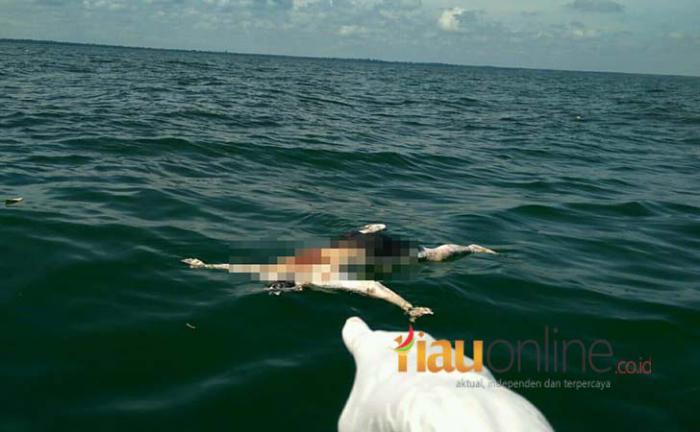 Hingga Kini, Polda Riau Temukan 10 Mayat yang Terapung di Selat Malaka