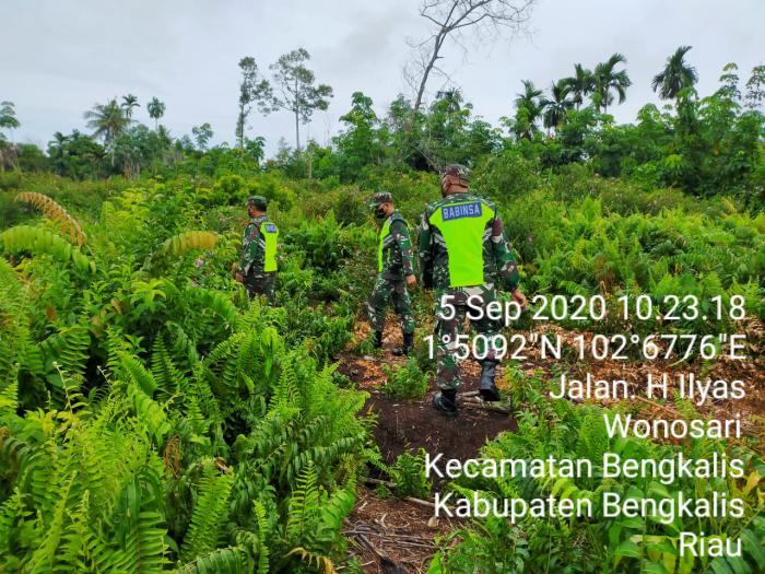 Babinsa Koramil 01/Bengkalis Melaksanakan Kegiatan Patroli dan Sosialisasi Karhutla di Desa Wonosari